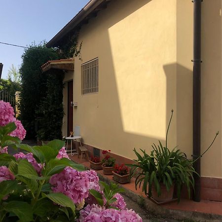 Casina Di Nina Apartment ลีวอร์โน ภายนอก รูปภาพ